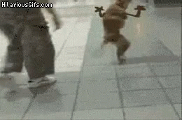 Dog With Two Legs Wave GIF - DogWithTwoLegs Wave Walking GIFs