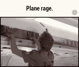 Lol GIF - Plane Rage Airplane GIFs