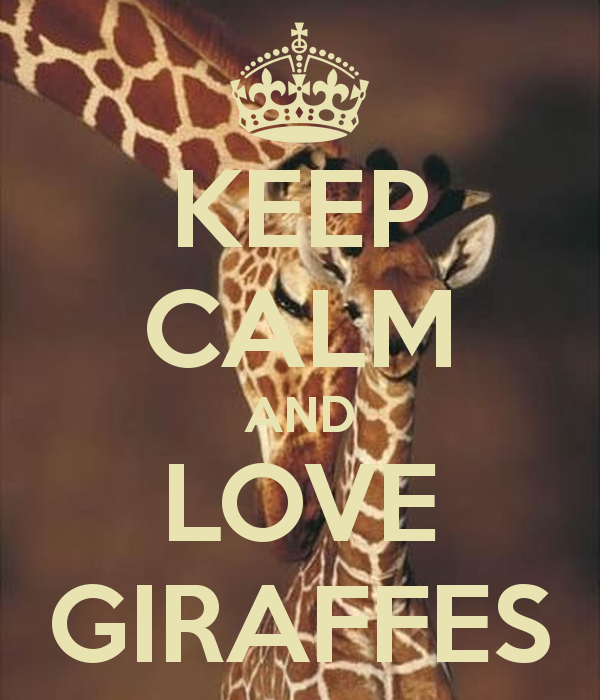 keep-calm-and-love-giraffes-207.png