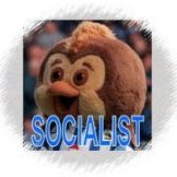 Socialist_Owl