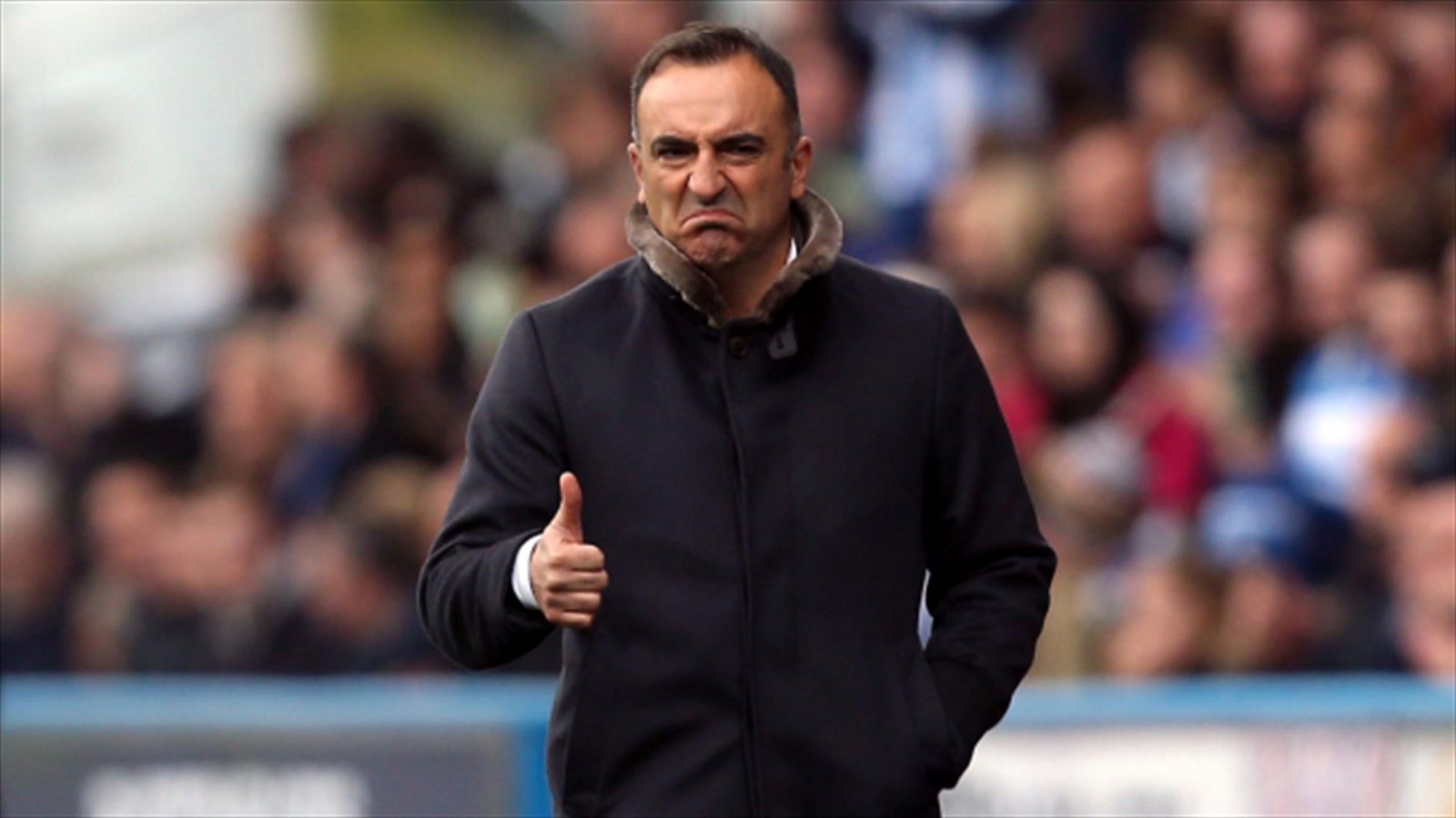 Carlos Carvalhal Sheffield Wednesday Manager