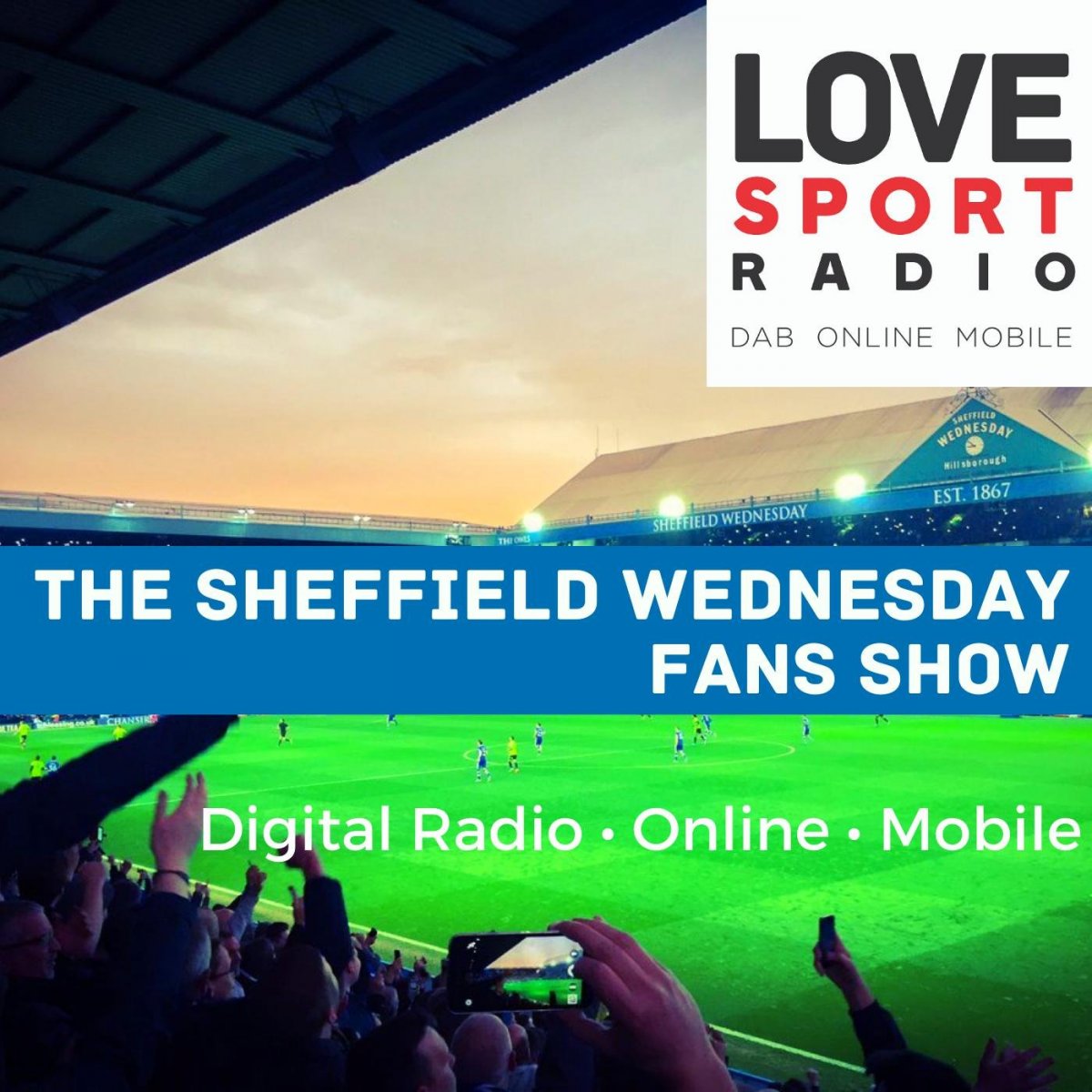 Sheffield Wednesday Fans Show.jpg