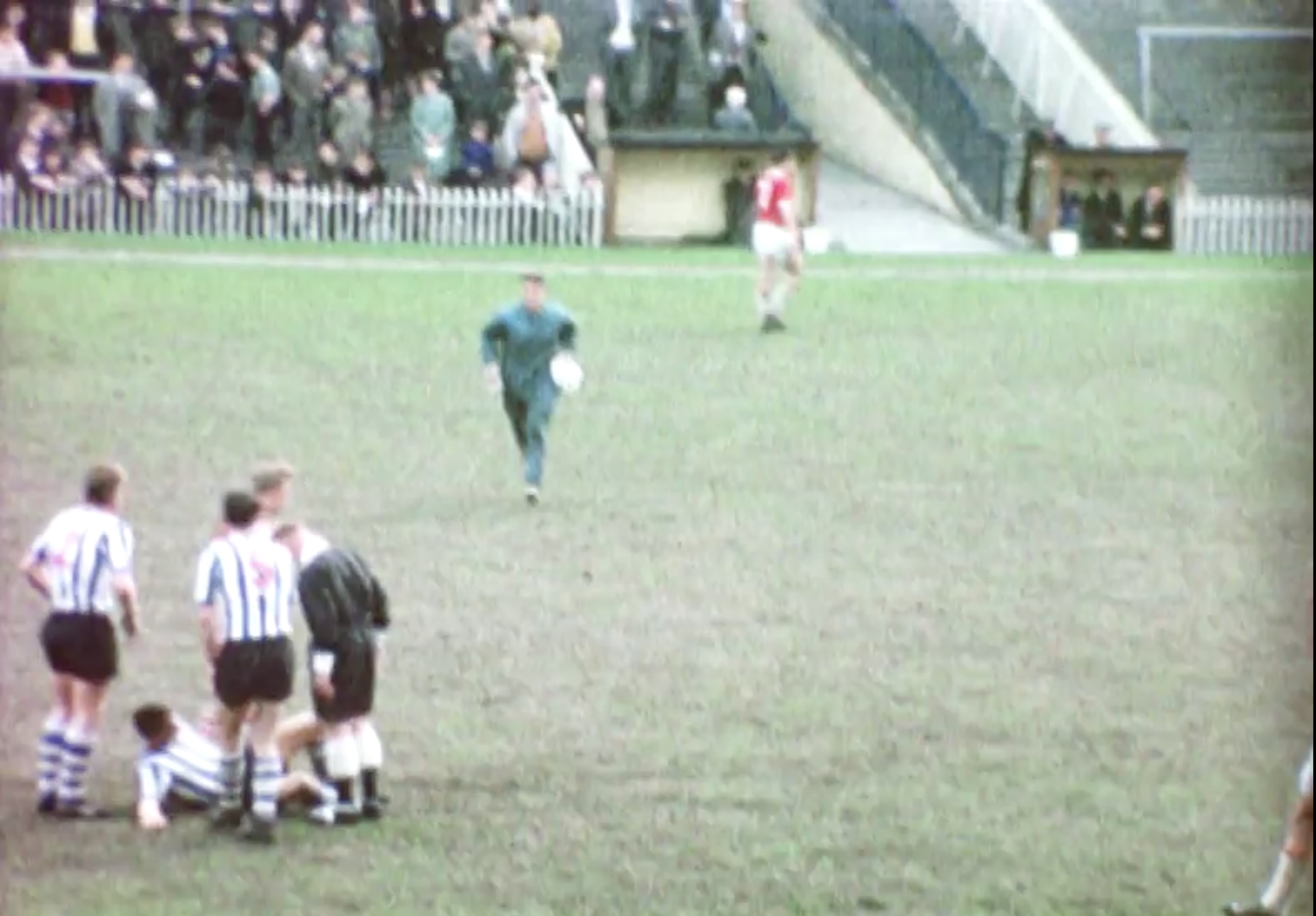 Sheffield Wednesday and Hillsborough in the 1960's