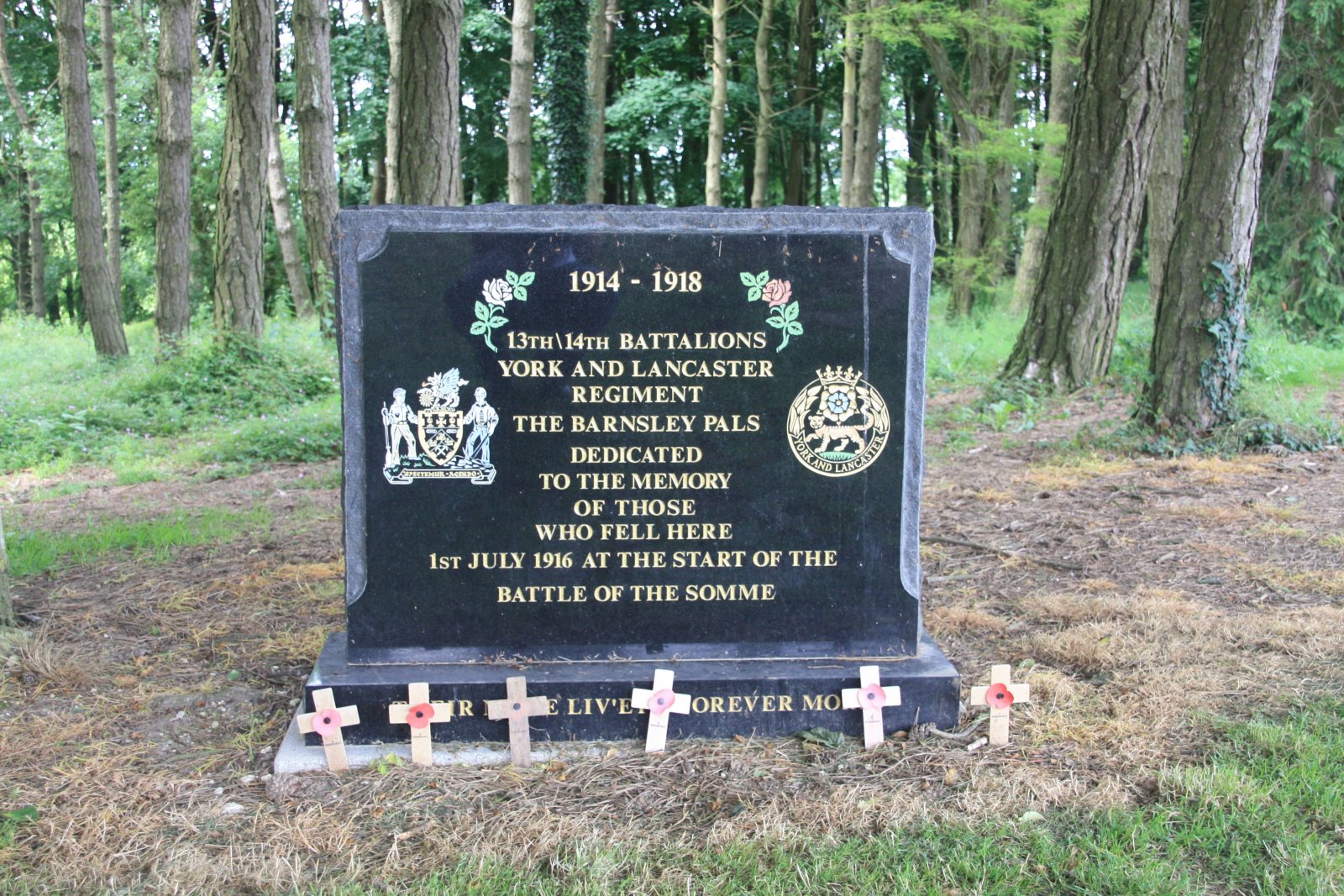 War - WW1 British Memorial 13 Serre France Barnsley Pals - (1).JPG